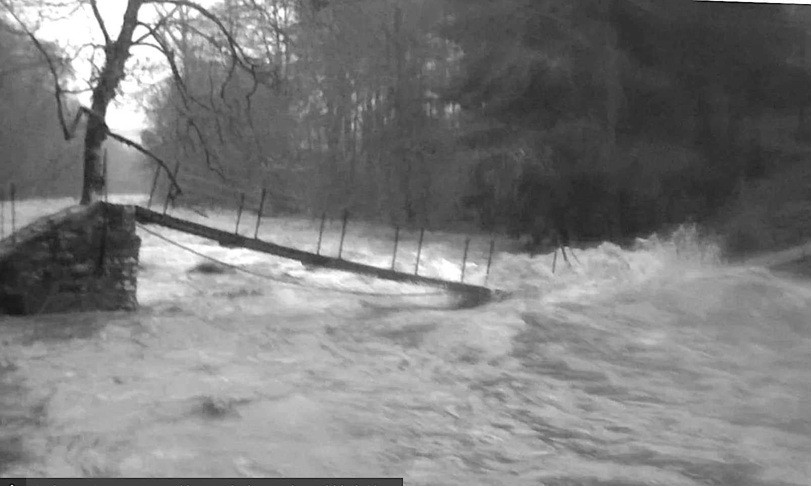 Deneholme Wood and/or Allen Banks and Staward Allendale Diary