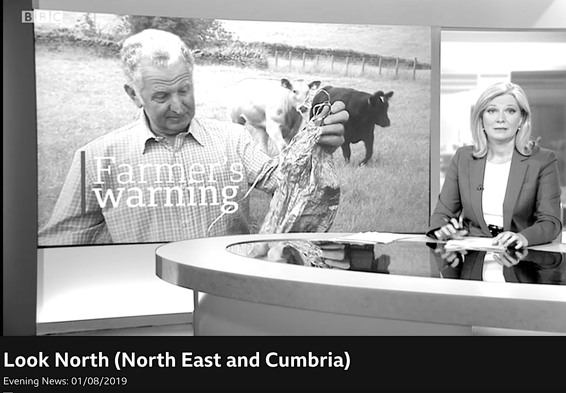 The dangers of dead helium balloons Allendale Diary