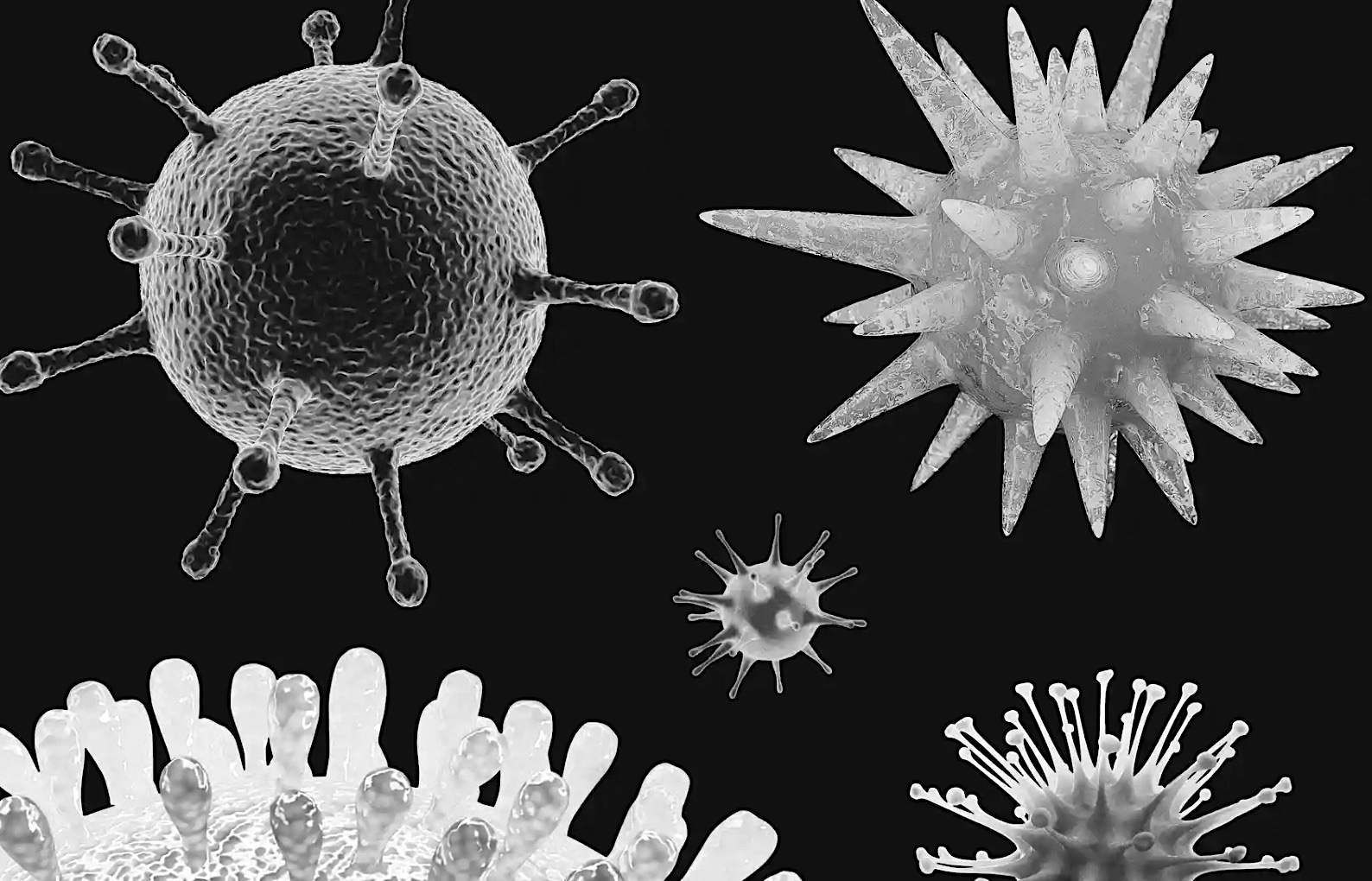 The flu jab . . . an autumnal routine Allendale Diary